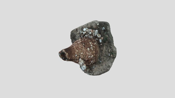Horno ibérico 3D Model