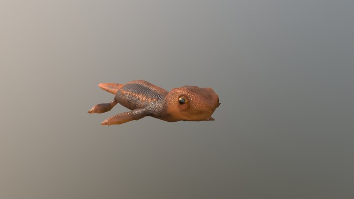 newt