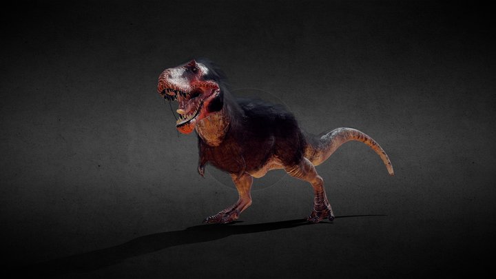 Tyrannosaurus 3D Model