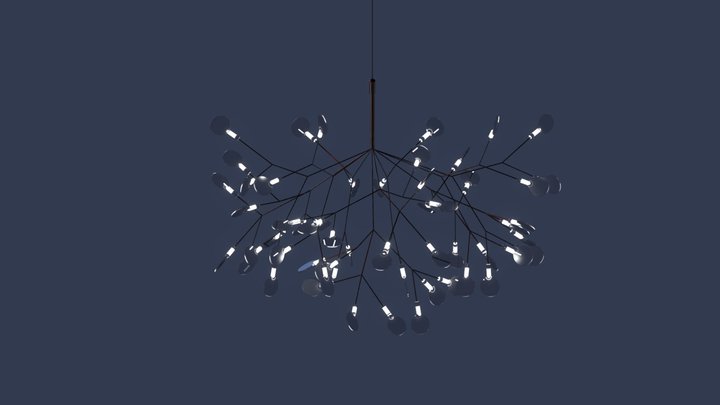Heracleum (transparent) 3D Model