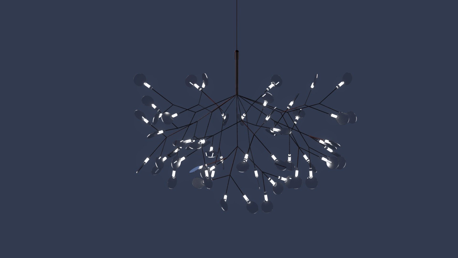 Heracleum (transparent)