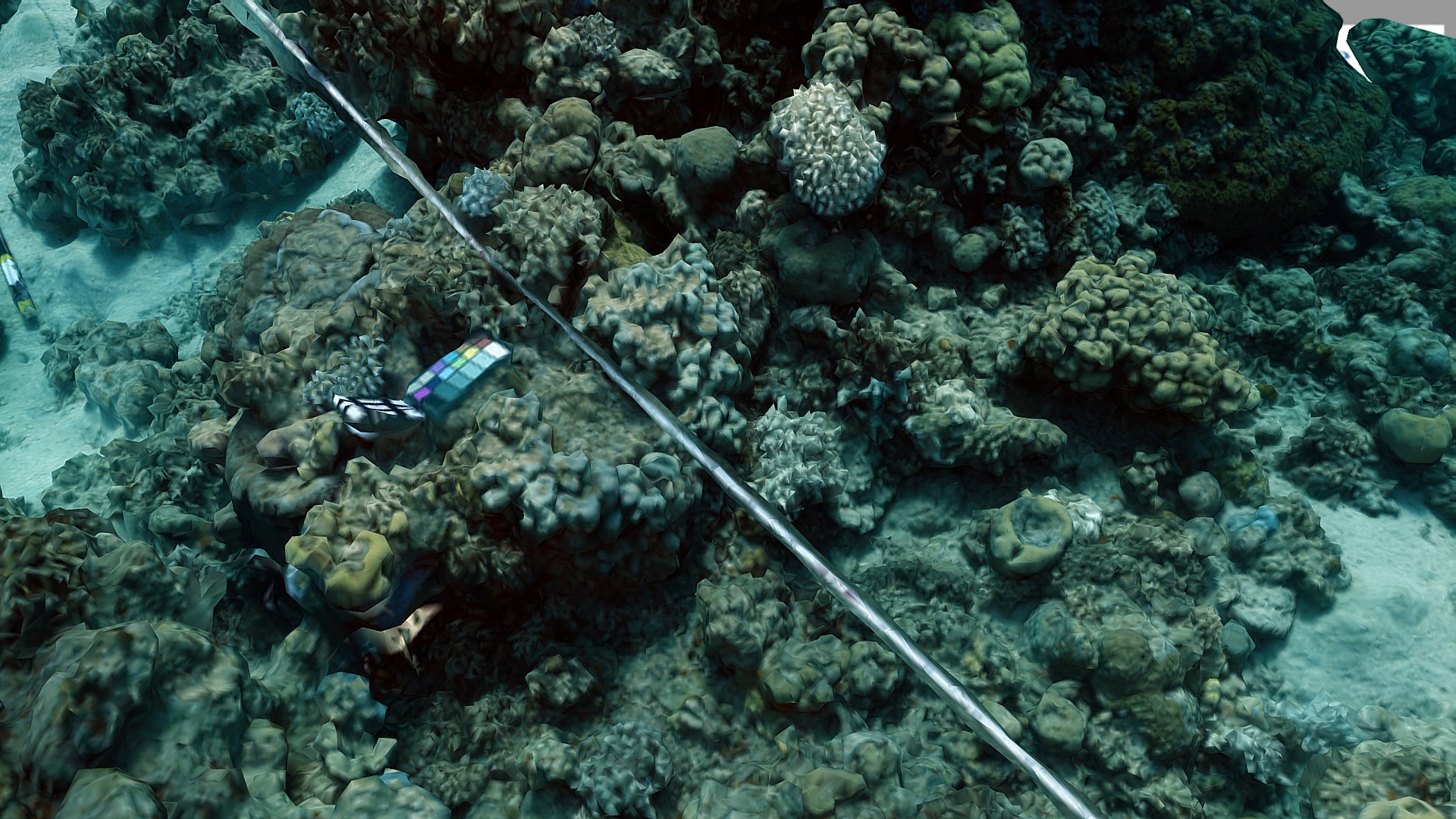 coral reef model color corrected - 3D model by VISEAON - Treibitz ...
