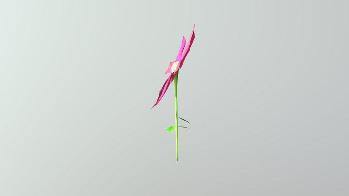 Flower Project 01 3D Model