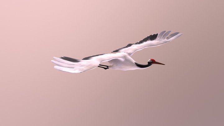 Crane Character 3D Model