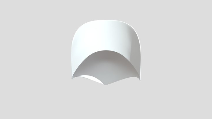 Cap 01 3D Model