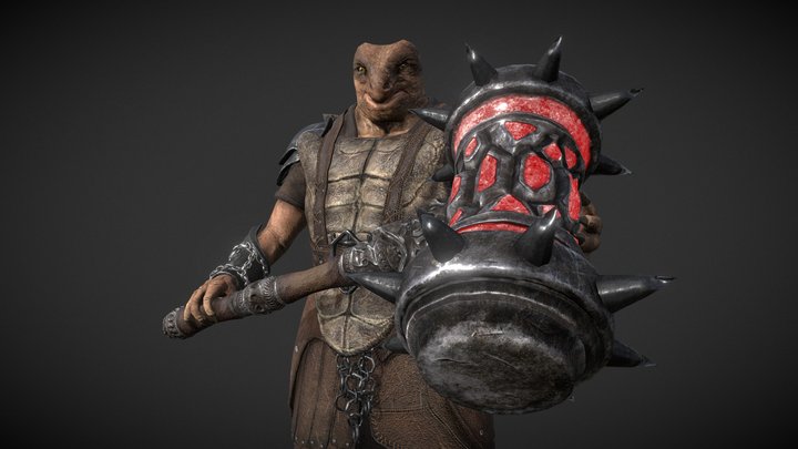 Turtle 3D Model