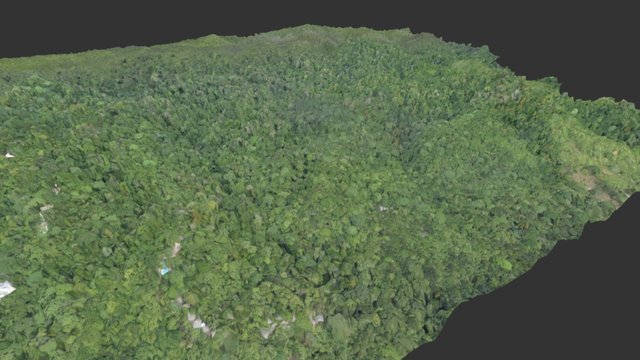 Lapa Rios, Osa Peninsula, Costa Rica 3D Model
