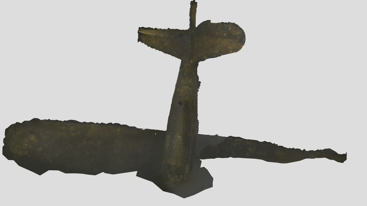 Grand Lake Plane 3D Model