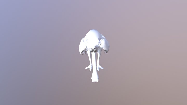 Ostrich Launch To Crash V1 3D Model