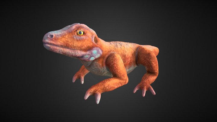 Desert Lizard 3D Model