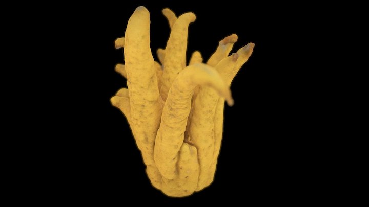 Buddha Hand 3D Model