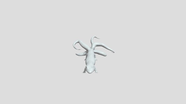Salamander Animated 3D Model