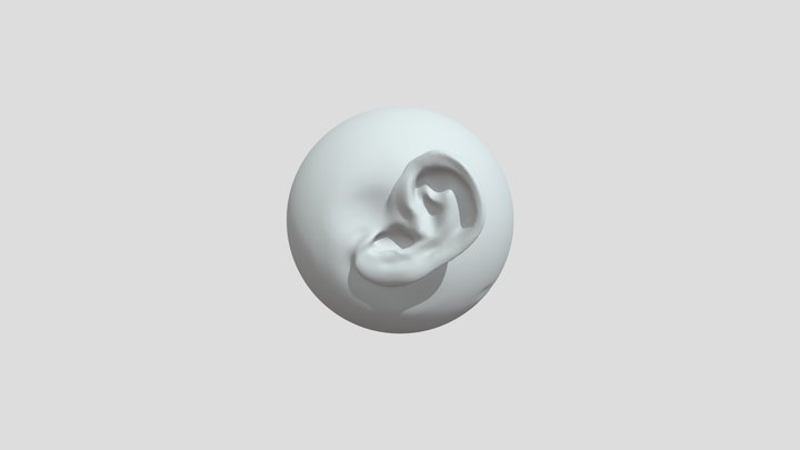 ear nr 2 3D Model