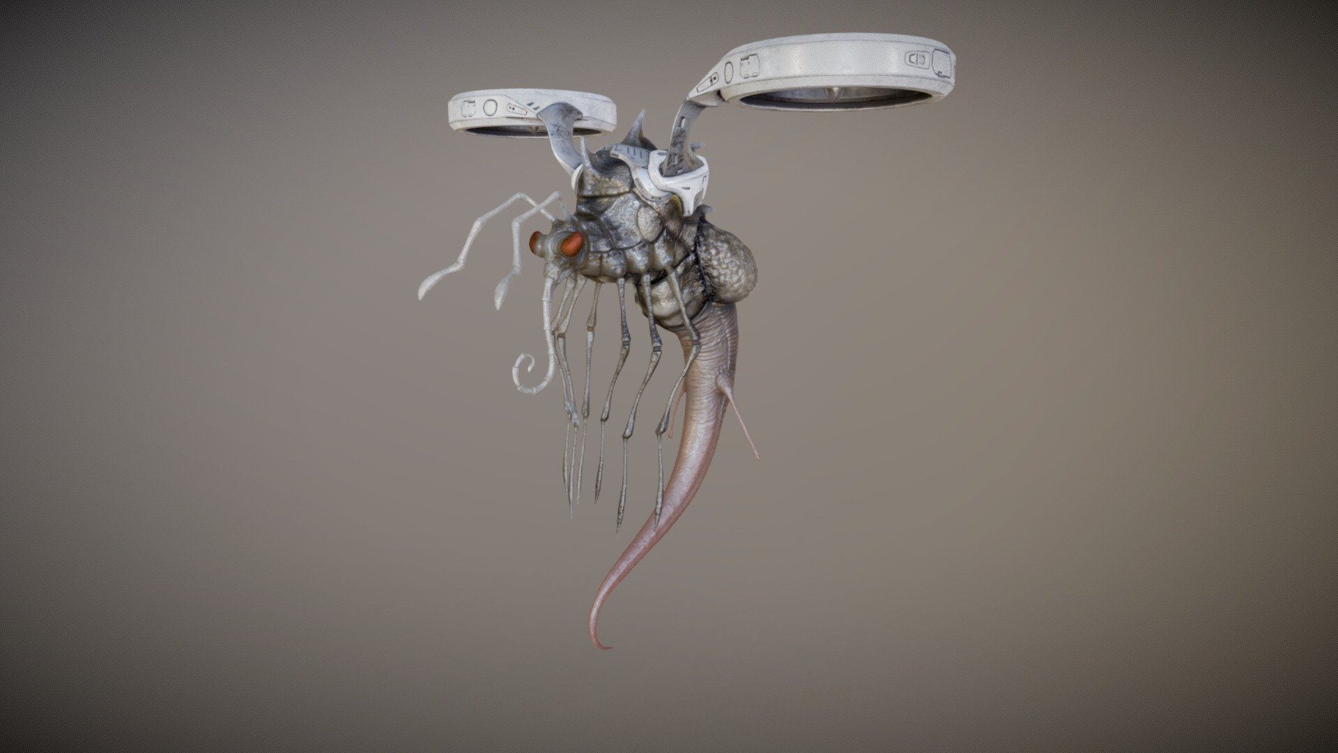 insect fin - 3D model by amaury.scheen [0281a80] - Sketchfab