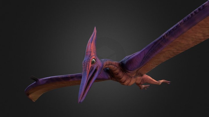 Pteranodon Flying Animation 3D Model