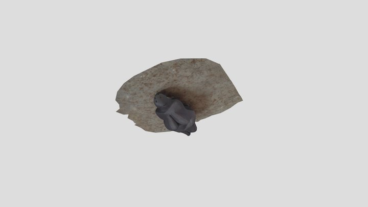 dh.Venuša 3D Model