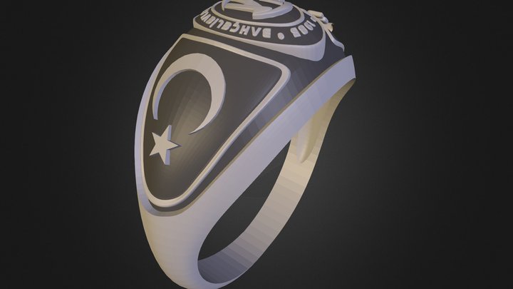 BAL-Ring 3D Model
