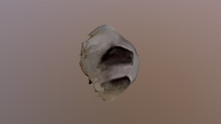 New Qlone 3D Model