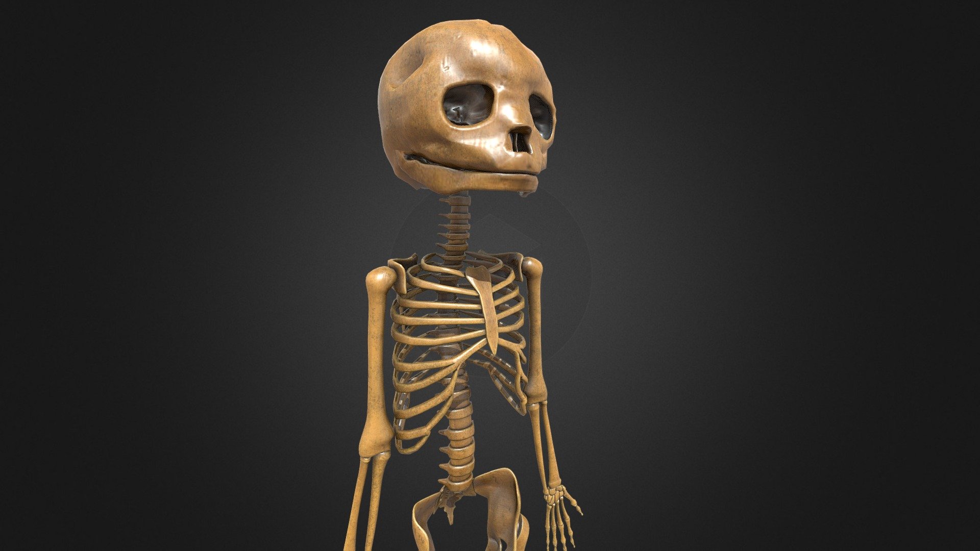 Foetus Skeleton - PBR - Low-poly