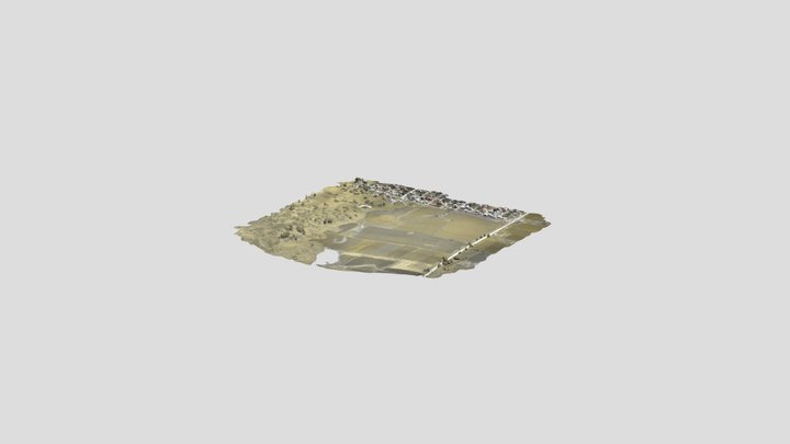 Parres_Laureles_simplified_3d_mesh 3D Model