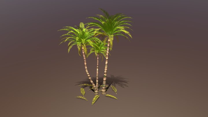 Palms 3D Model