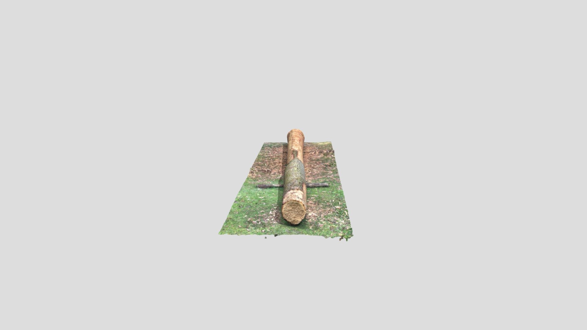 Koruc - Construction pirogue - Ecorçage - 3D model by jackymeslin ...