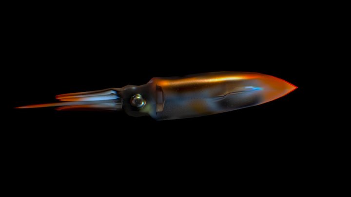 Firefly squid 3D Model
