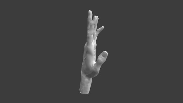 Hand Fingers Semi Extended 3D Model