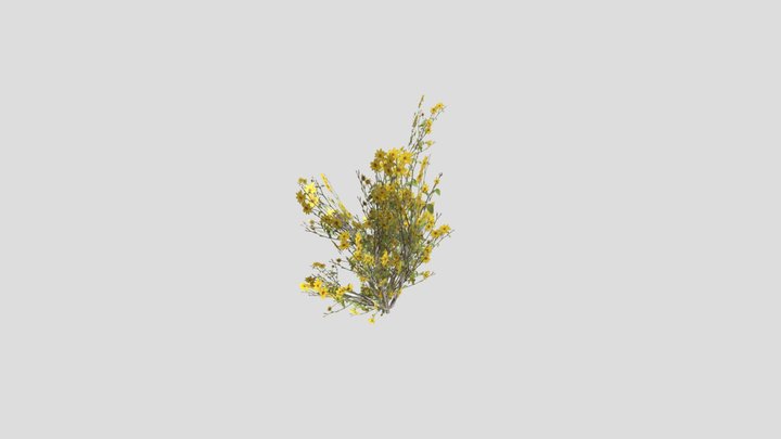 Desert_willow5 3D Model