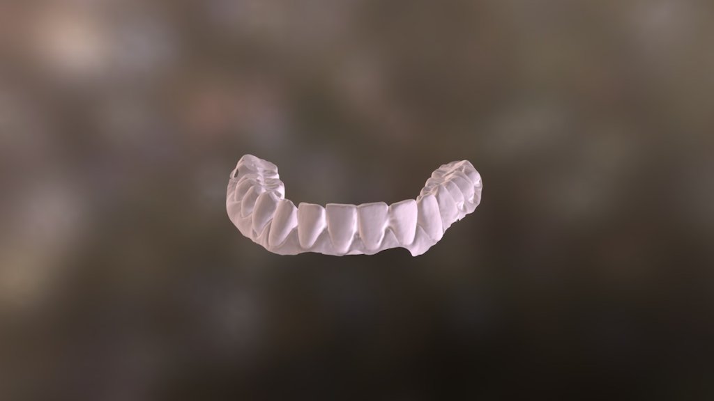 Clementine Lower Jaw