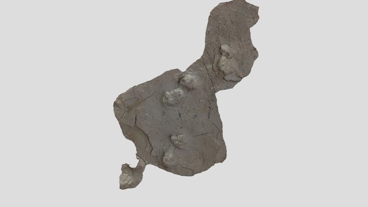 Muestra colección RICARDO 3D Model