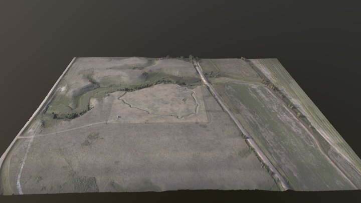 Molander (web) 3D Model