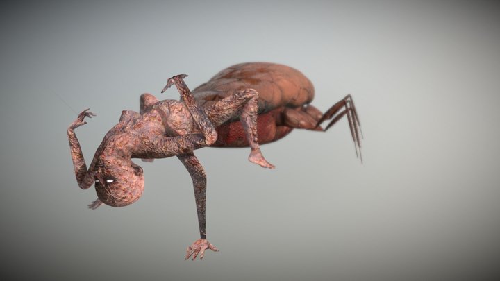 Creepy girl/cockroach Hybrid 3D Model