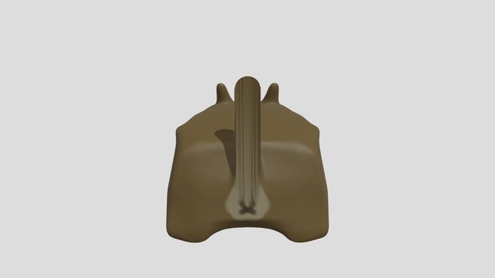My model 3D Model