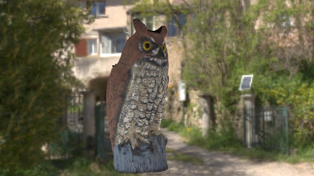 Owl