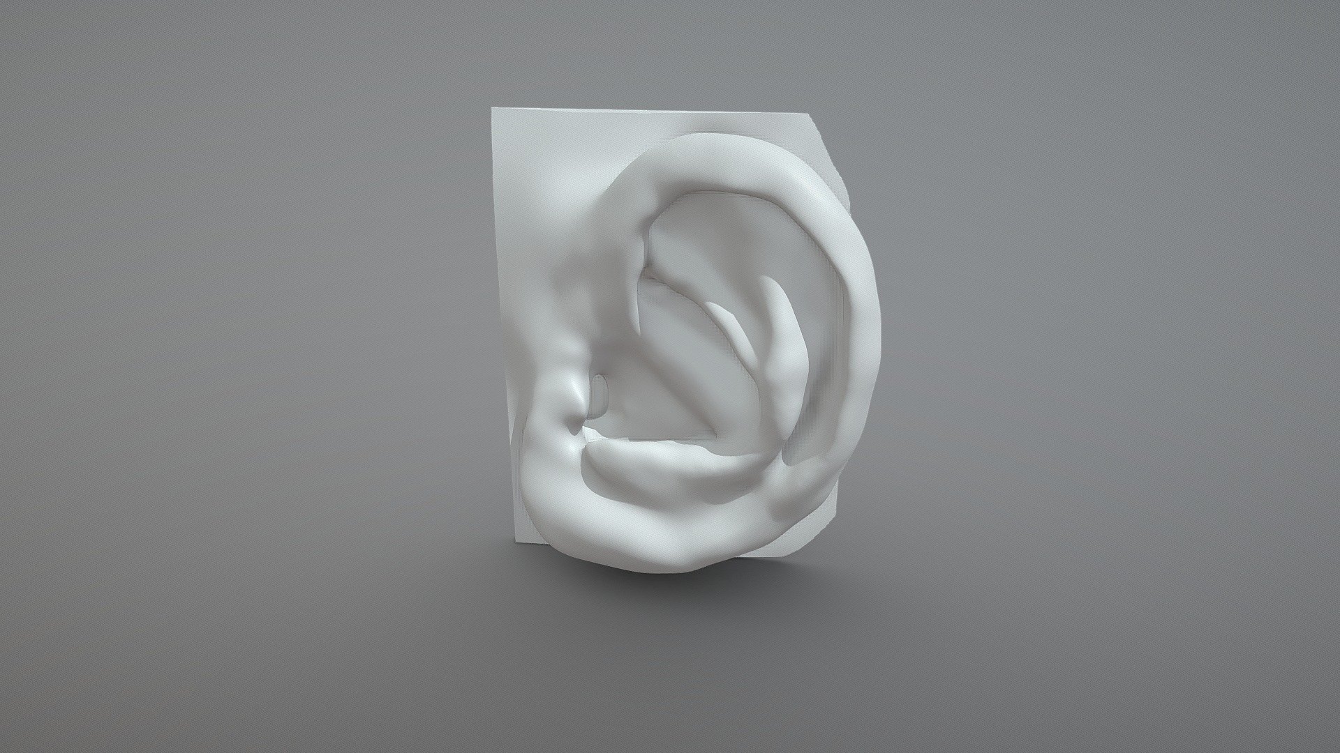 Ear Sculpt - ZBrush