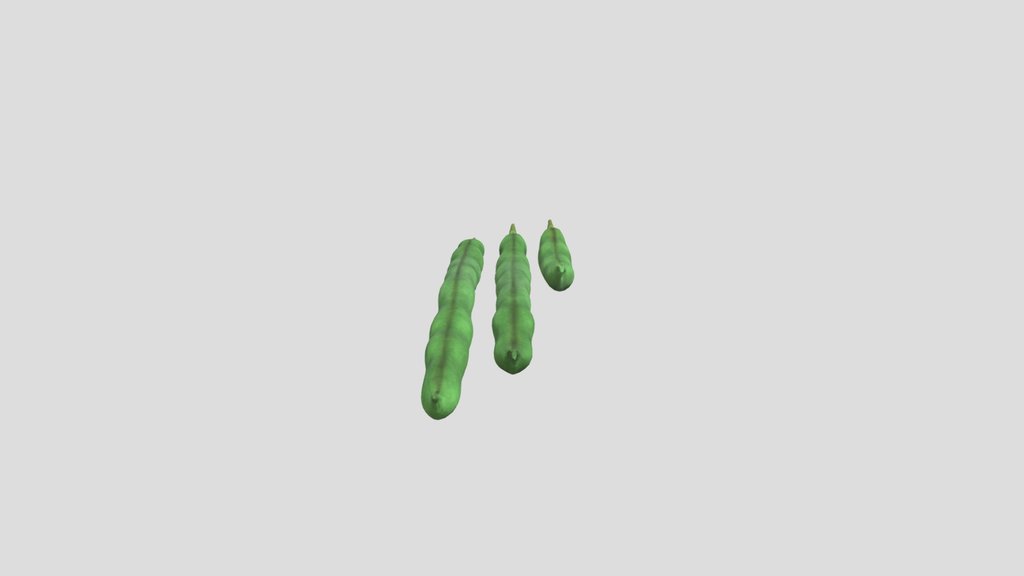 Beans Fruit