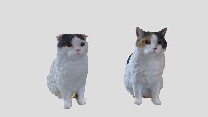 Tong Tong and Dan Dan Cat 3D Model
