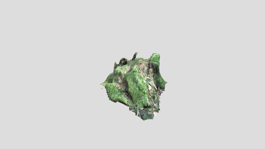 Stump Covered By Moss 3d Scanned