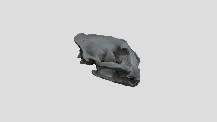 cleaned_fixed2 3D Model
