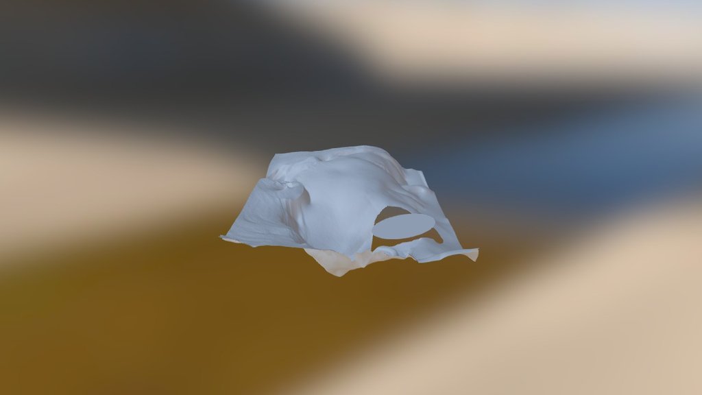 Scan 11 (1) - Download Free 3D model by 3D Hubs (@3dhubs) [02a21e7 ...