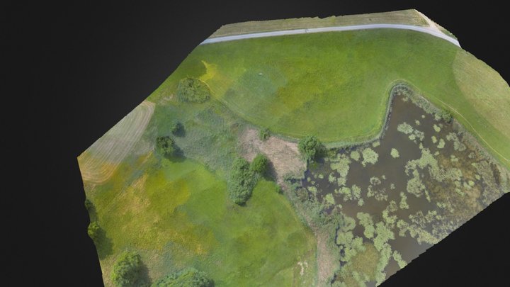 See2 3D Model