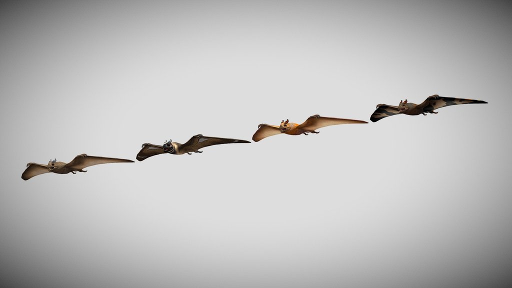 JWE Jeholopterus Pack