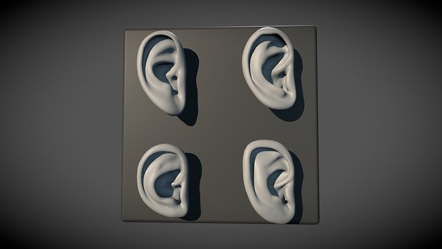 Ear Set 3D Model