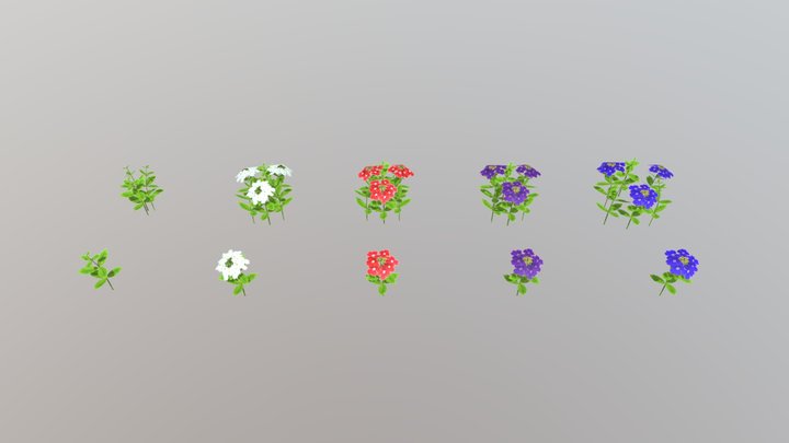 Verbena Flower Low Poly 3D Model