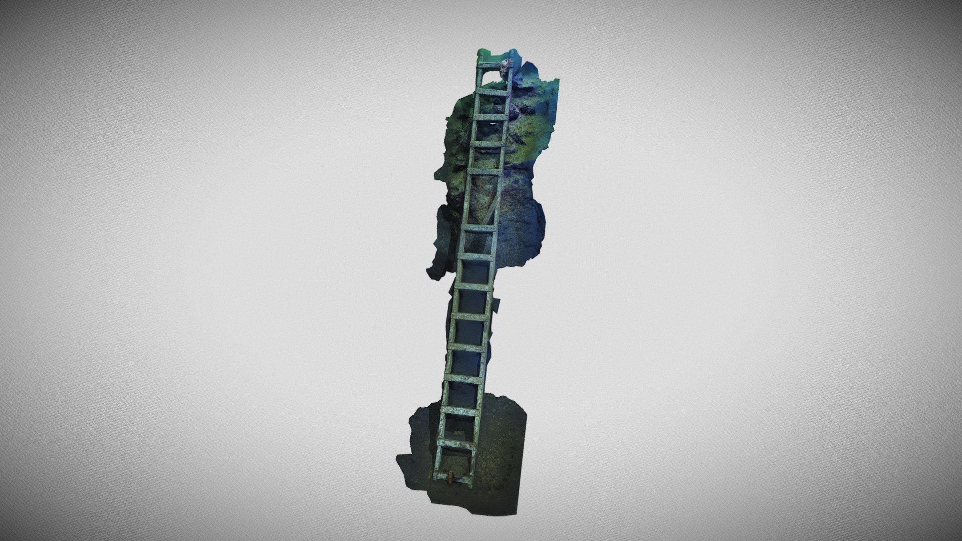 Little trovis Ladder.