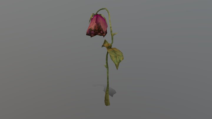 Dead Flower 3D Model