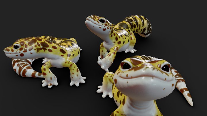 Stylized Leopard gecko 3D Model