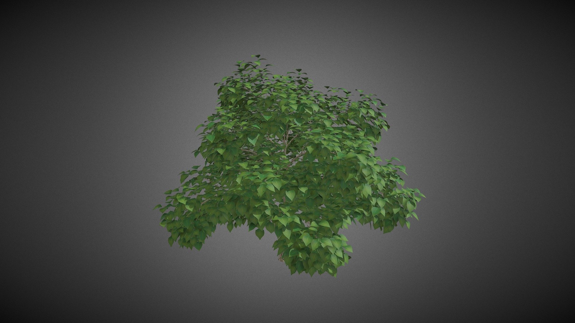 shrub tree - Buy Royalty Free 3D model by misitewang [02bc08a ...