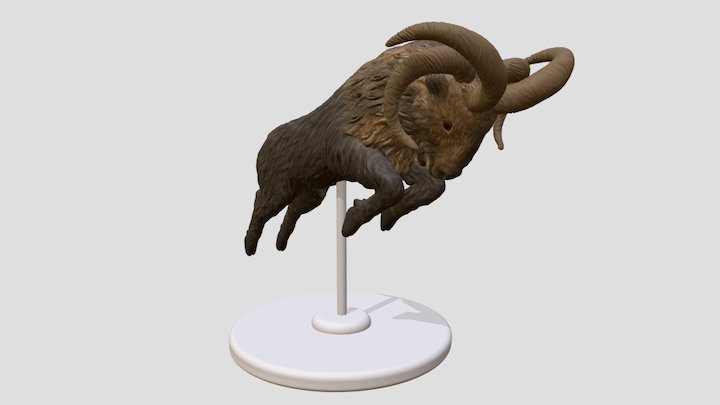 Daniel 8 Goat with Four Horns 3D Model